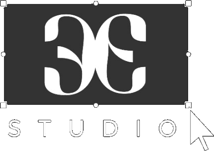 EE Studio